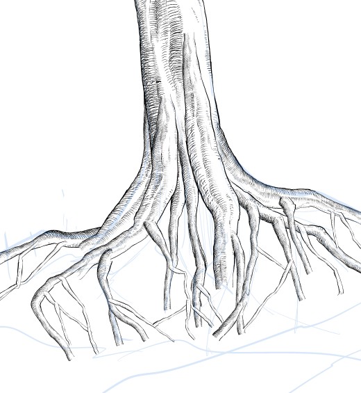 What?! It's That Easy?! Draw A Complex Tree Root With Trunk, Branch ...