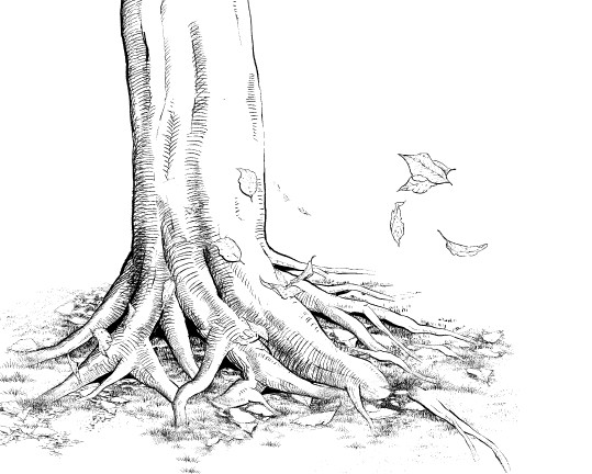 How To Draw Trees Manga - Manga