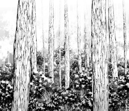 遠近と奥行きがポイント 幹枝根ブラシ素材 光差し込む林の描き方 漫画素材工房 Manga Materials