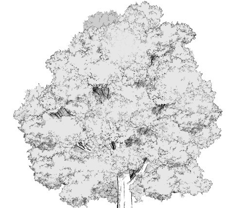ラクしてオリジナリティを出そう モコモコ葉ブラシ 白 木の描き方 漫画素材工房 Manga Materials