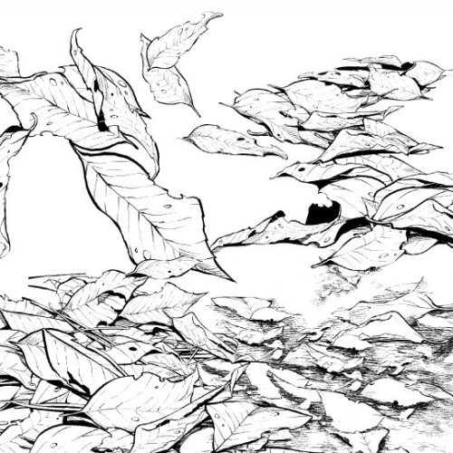 少しのコツを加えるだけ！落ち葉ブラシ素材・落ち葉の山の描き方 漫画素材工房 MANGA MATERIALS