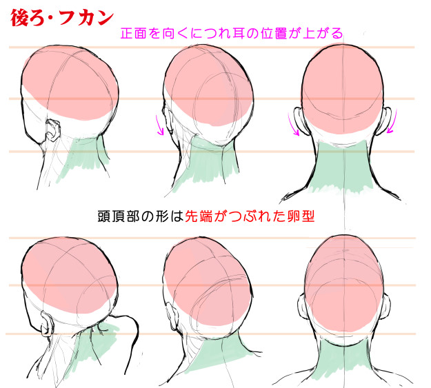 アオリ フカンを克服する 頭部 顔の描き方 漫画素材工房 Manga Materials