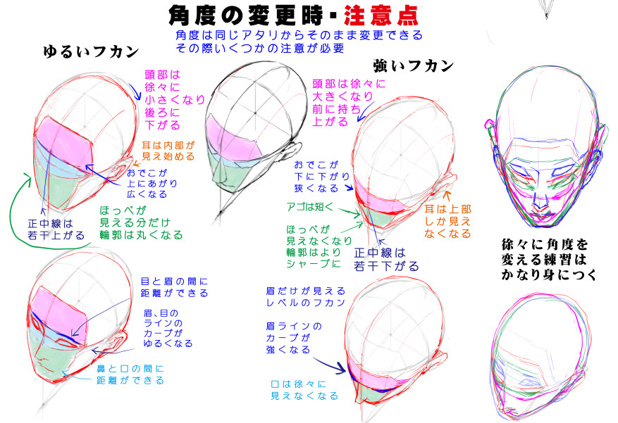 アオリ フカンを克服する 頭部 顔の描き方 漫画素材工房 Manga Materials