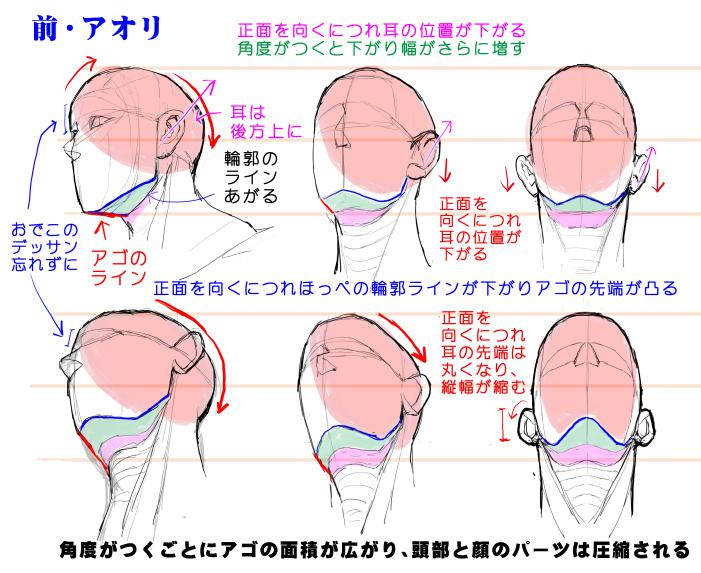 アオリ フカンを克服する 頭部 顔の描き方 漫画素材工房 Manga Materials