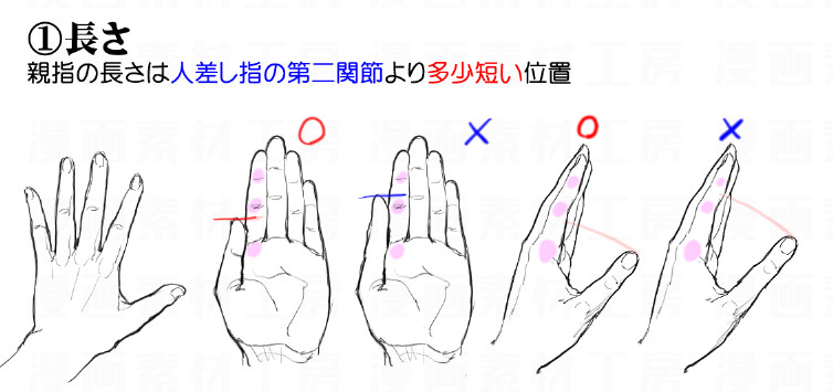 手のデッサン狂いを減らす 親指と他の指の違い 漫画素材工房 Manga Materials